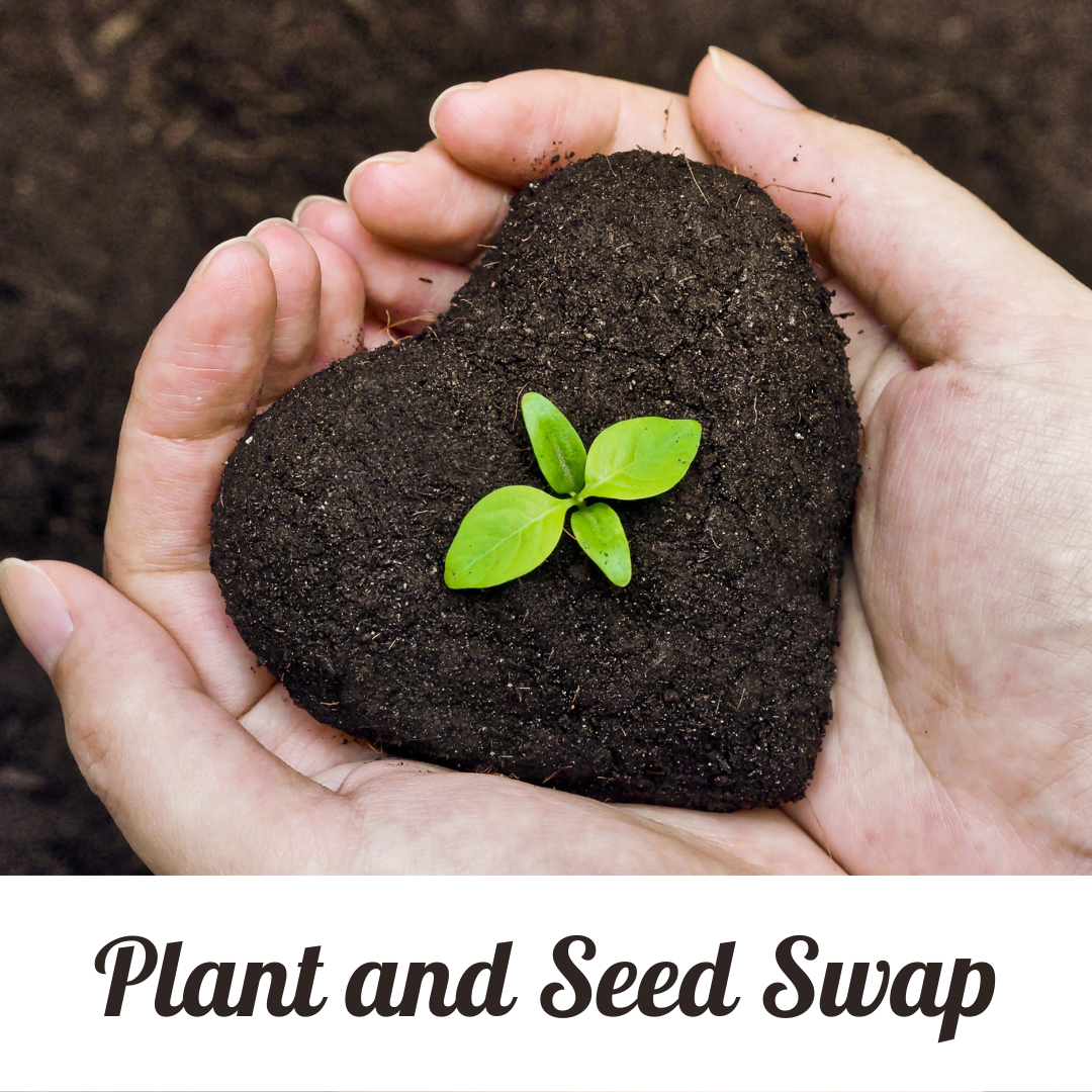 Plant and Seed Swap